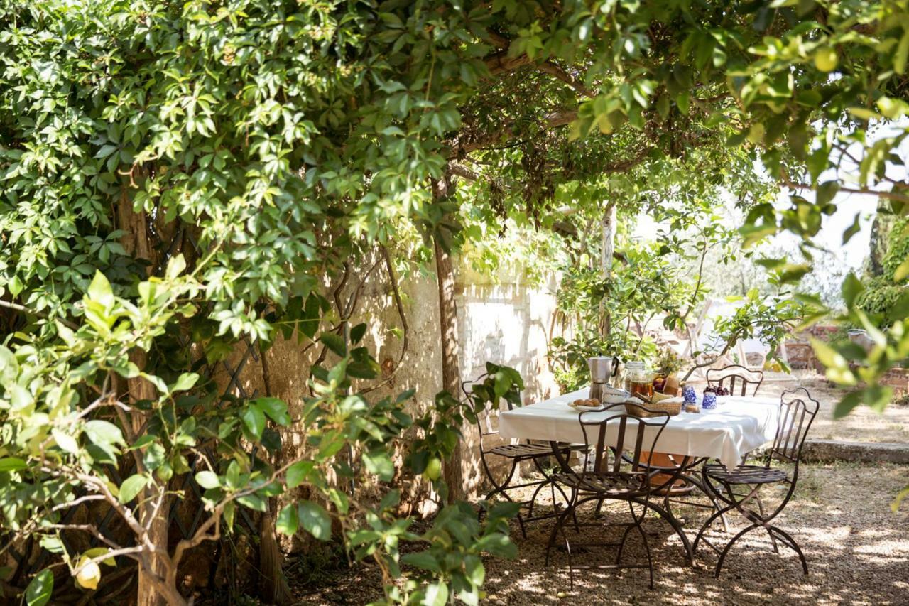 Agriturismo Biologico Ebbio Villa Monteriggioni Exterior foto